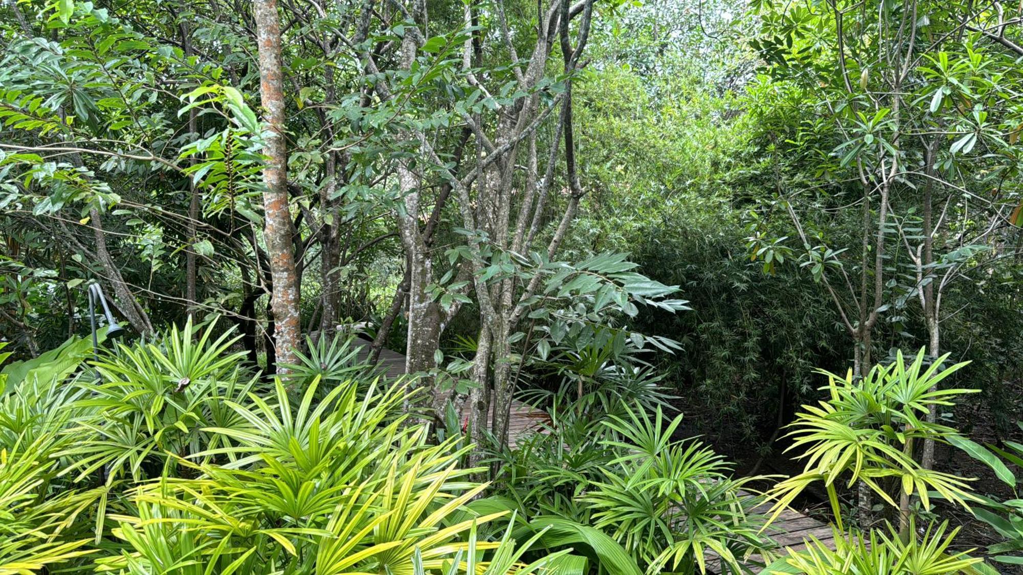 Ginganga Lodge Galle Esterno foto